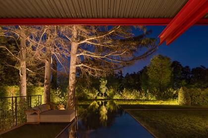 Reflejos nocturnos.